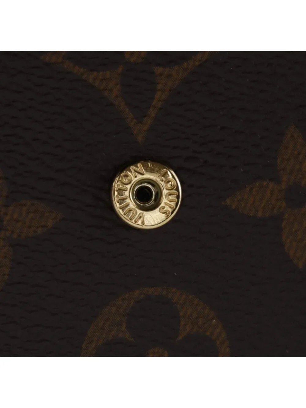 Louis Vuitton Portefeuille Sarah Monogram Giant Reverse Canvas Brown Wallet